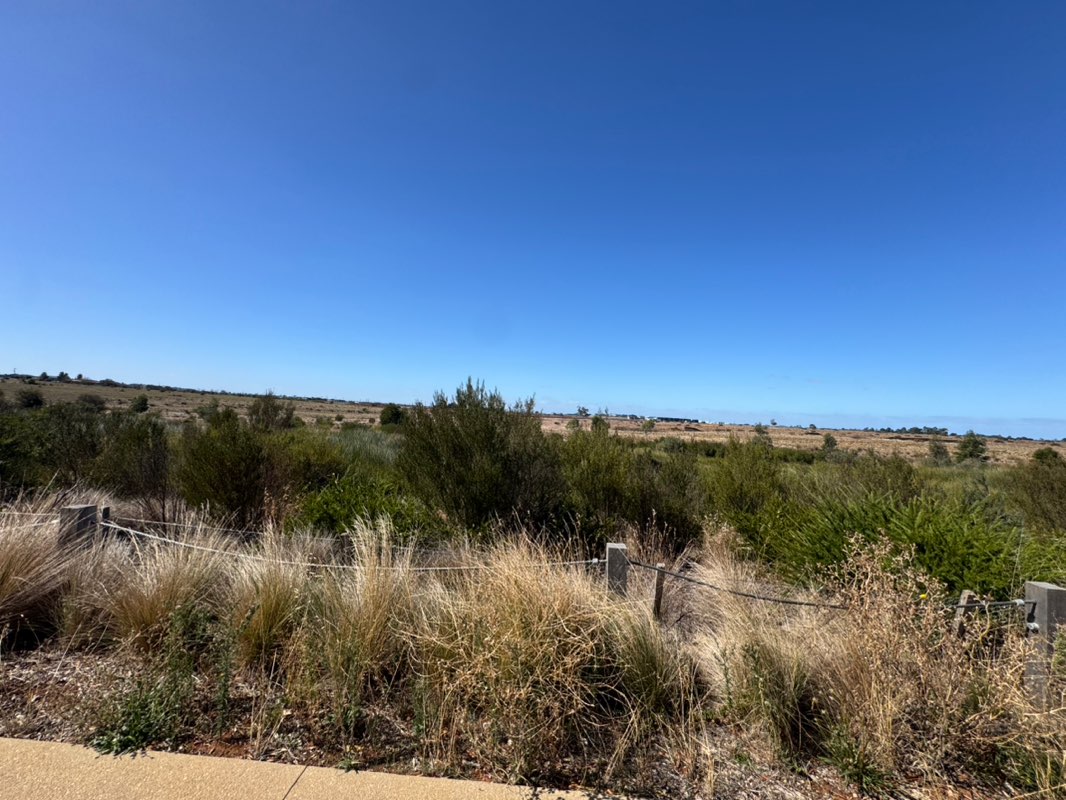 walking near me in Cascade Reserve in autumn