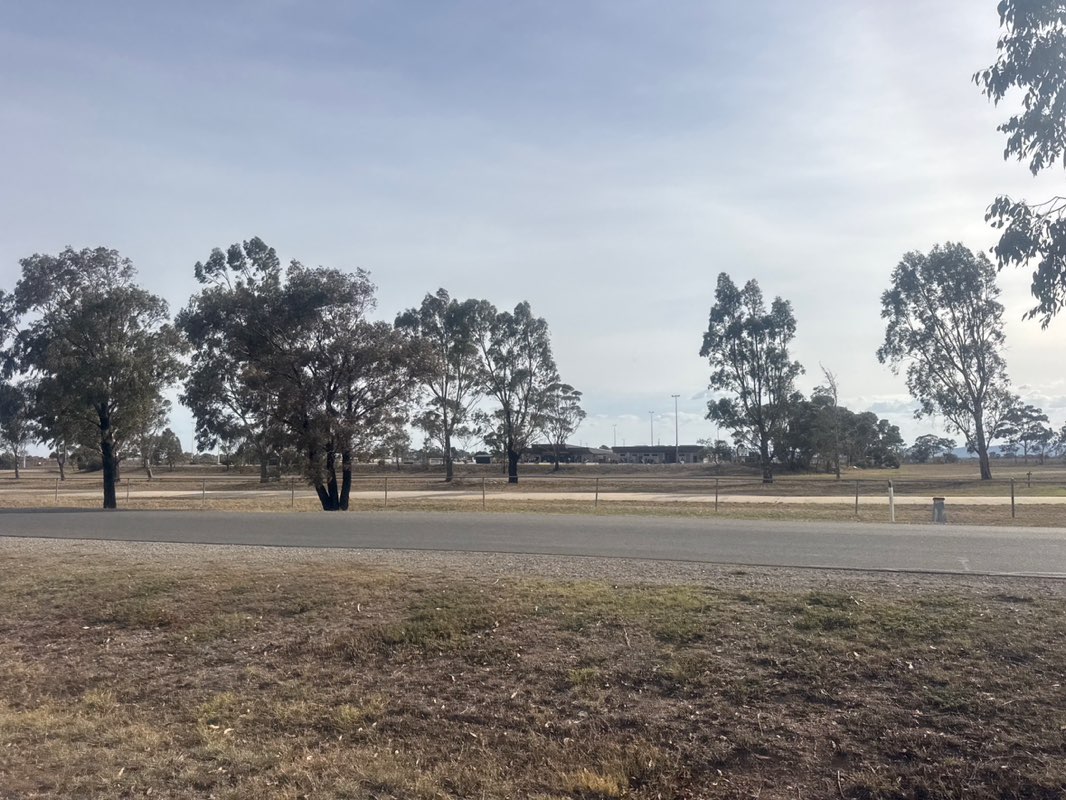 walking near me in MacPherson Park in autumn