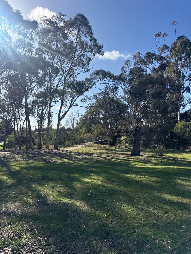 walking near me in Little Blind Creek Reserve in spring