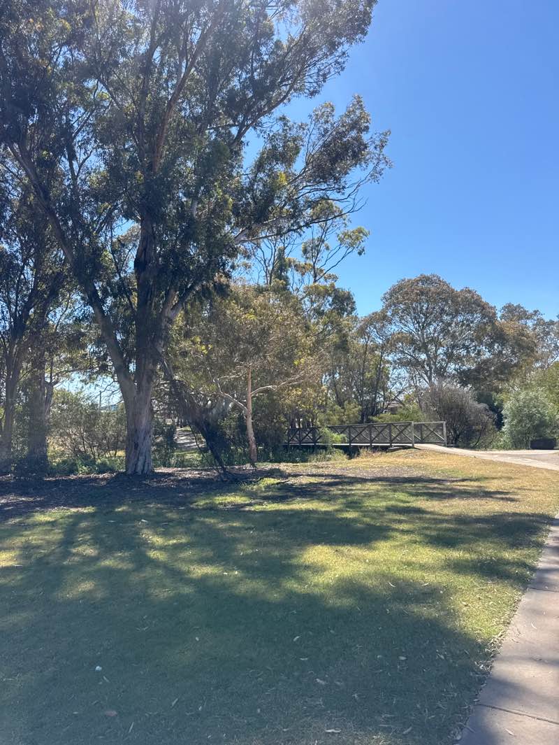 walking near me in Little Blind Creek Reserve in summer