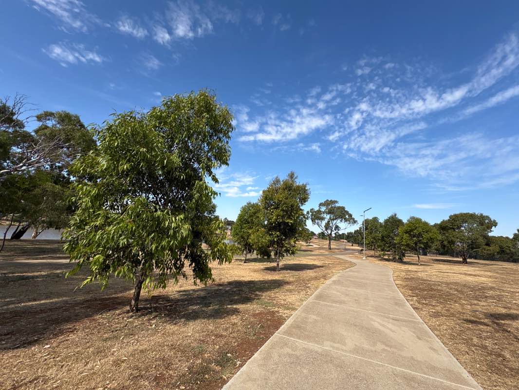 walking near me in Navan Park in summer