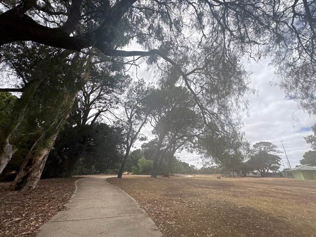 walking near me in The Willows Historic Park in summer