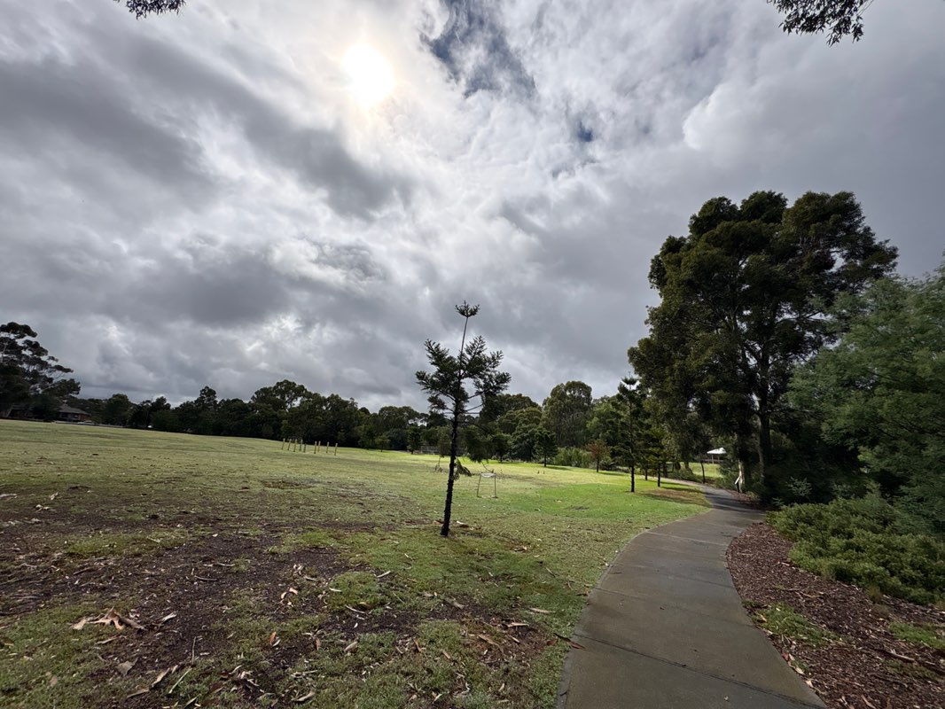 walking near me in Hannah Watts Park in autumn