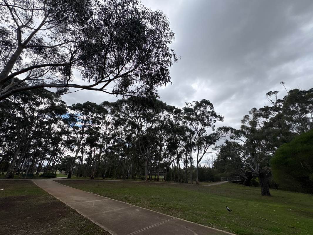 walking near me in Little Blind Creek Reserve in winter