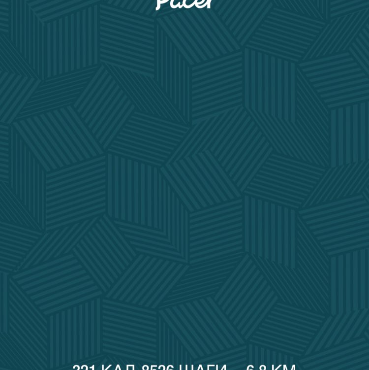 PacerТоварищ post 1