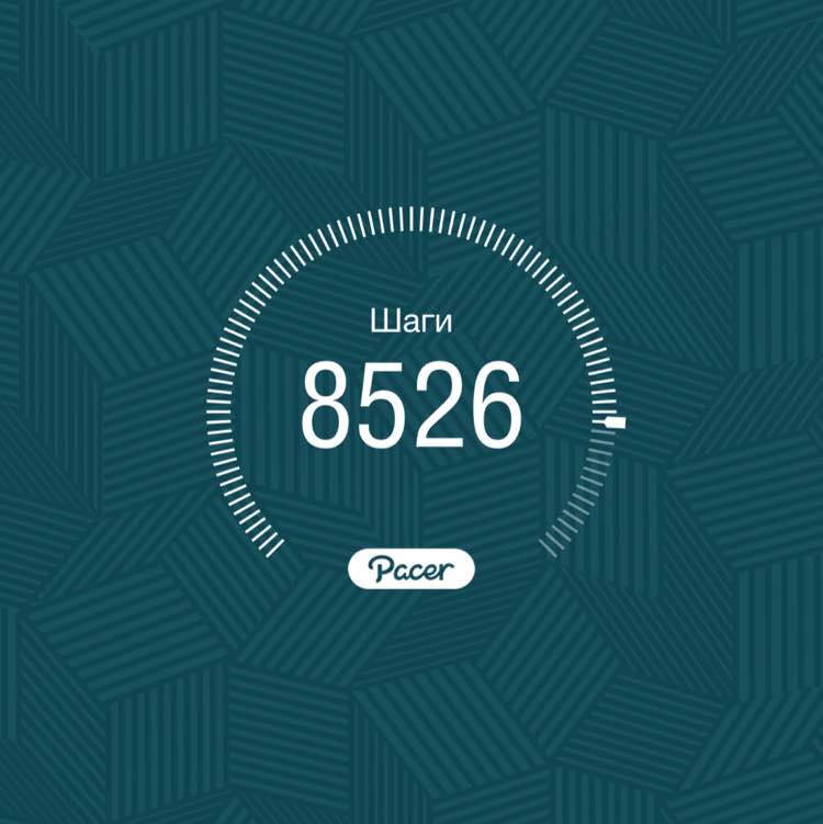 PacerТоварищ post 1