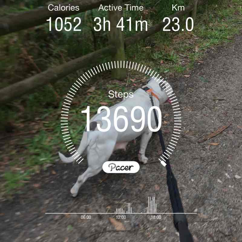 🇦🇺🌏💙🌺AshaaLouise 🌺💙🌏🇦🇺 post 1