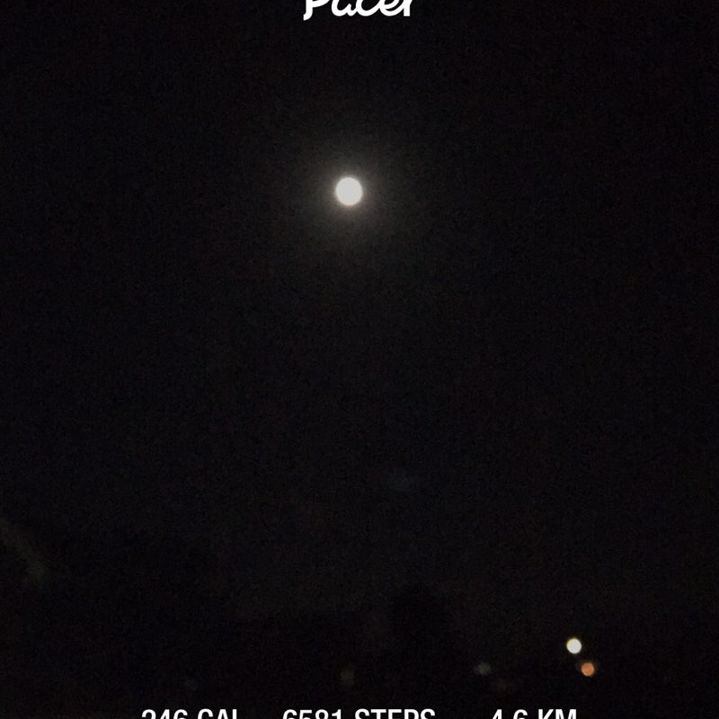 🇦🇺🌏💙🌺AshaaLouise 🌺💙🌏🇦🇺 post 1