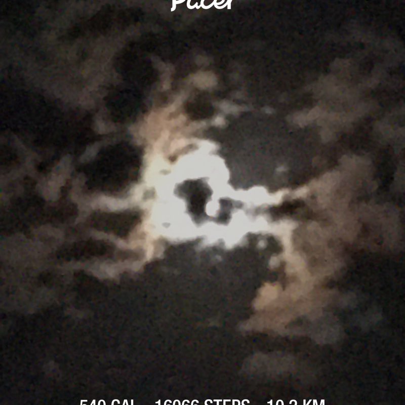 🇦🇺🌏💙🌺AshaaLouise 🌺💙🌏🇦🇺 post 1