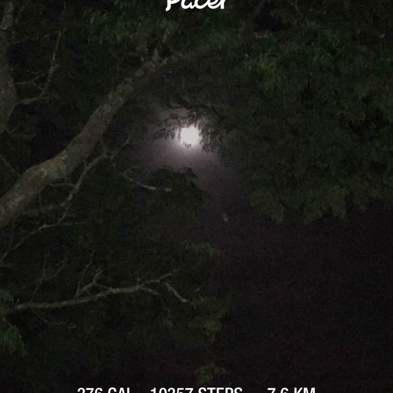 🇦🇺🌏💙🌺AshaaLouise 🌺💙🌏🇦🇺 post 1