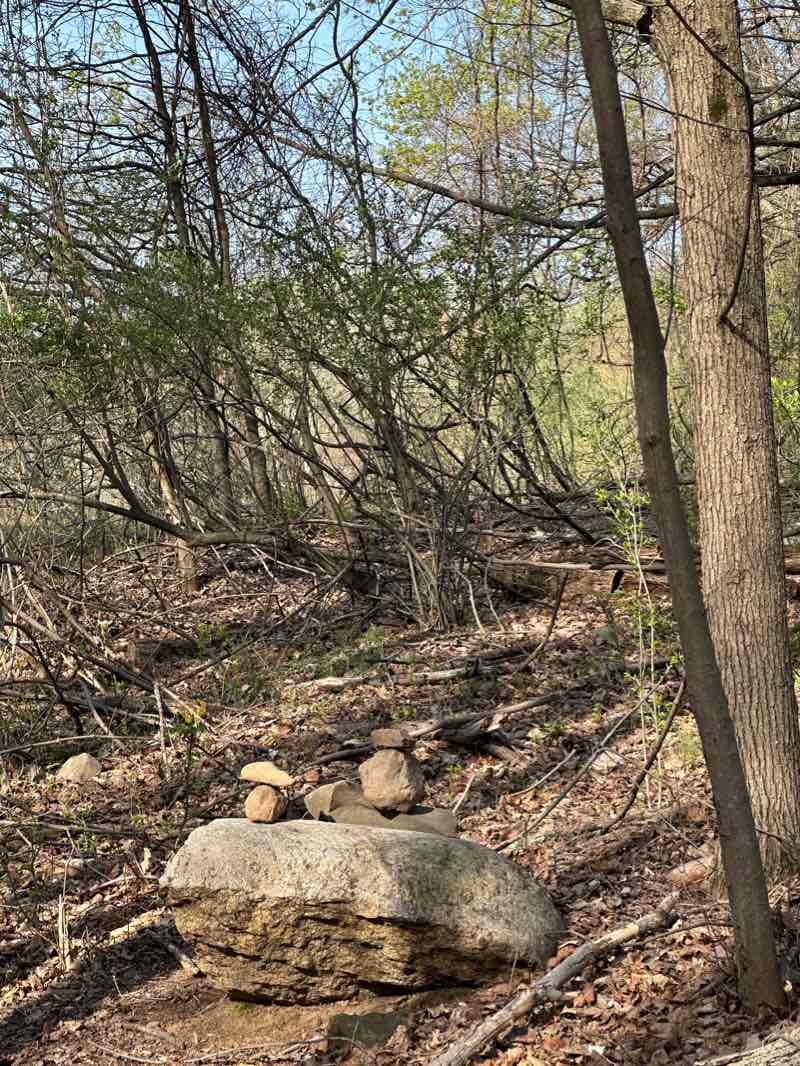 walking near me in Kennedy - Dells County Park in winter