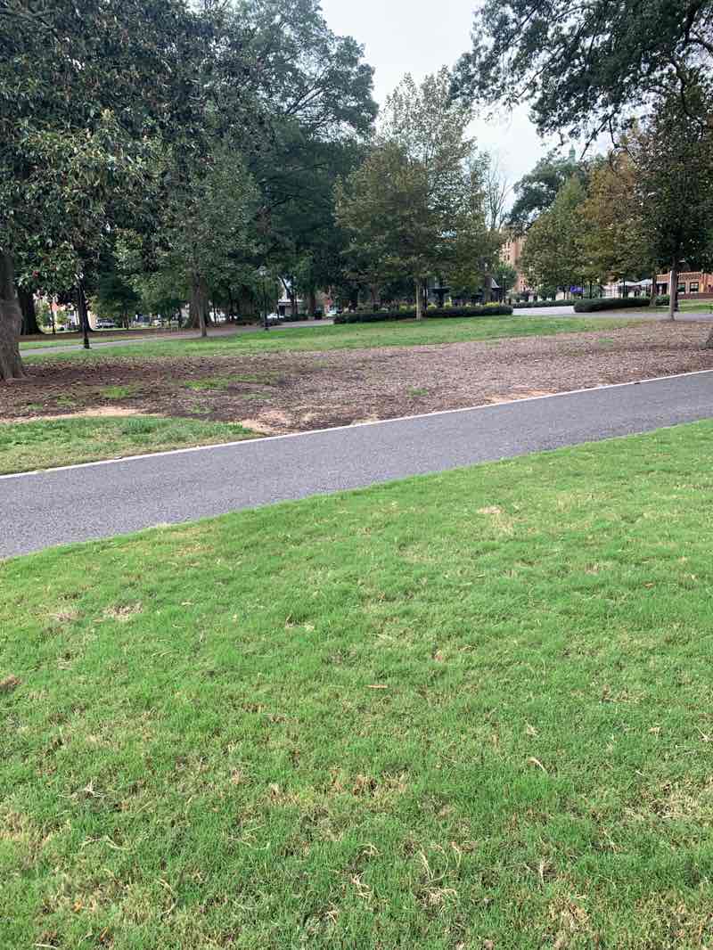 walking near me in Monroe Park in autumn