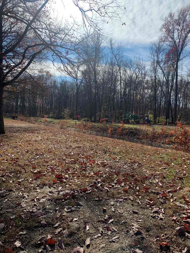 walking near me in Wickford Park in autumn