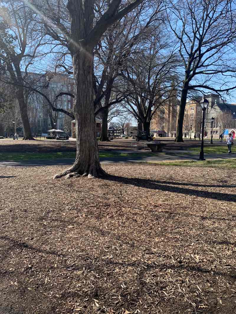 walking near me in Monroe Park in spring