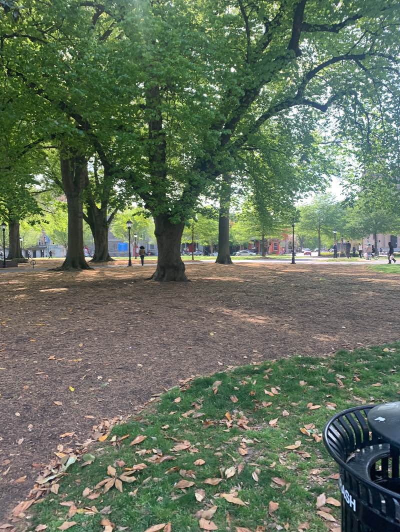 walking near me in Monroe Park in spring