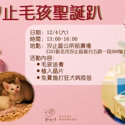 珞穎（Mini） post 2