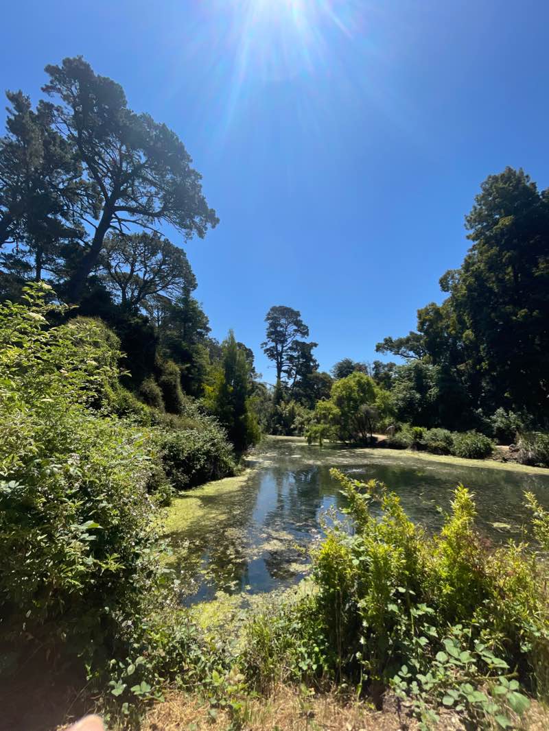 walking near me in Duboce Park in winter
