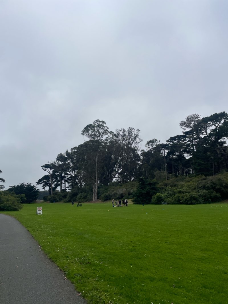 walking near me in Duboce Park in summer