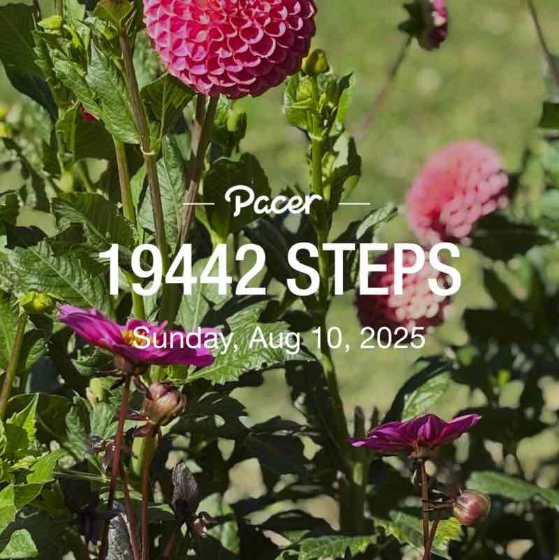 The Beautiful Souls💕 john post image