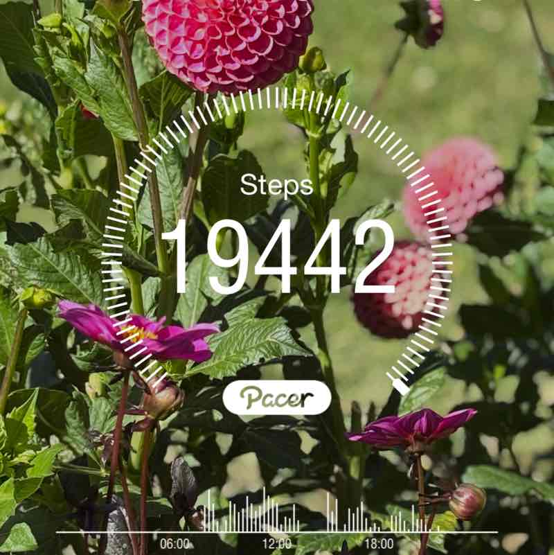 The Beautiful Souls💕 john post image