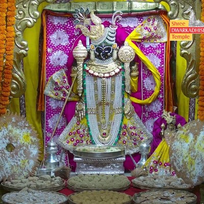 🤗💖 Indian Joggers 💖🤗 jayanti post image