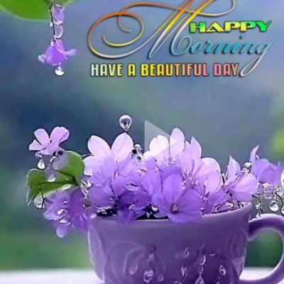 🤗💖 Indian Joggers 💖🤗 jayanti post image