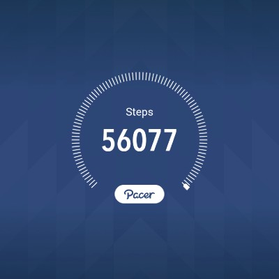 bernardcreed008 post 1