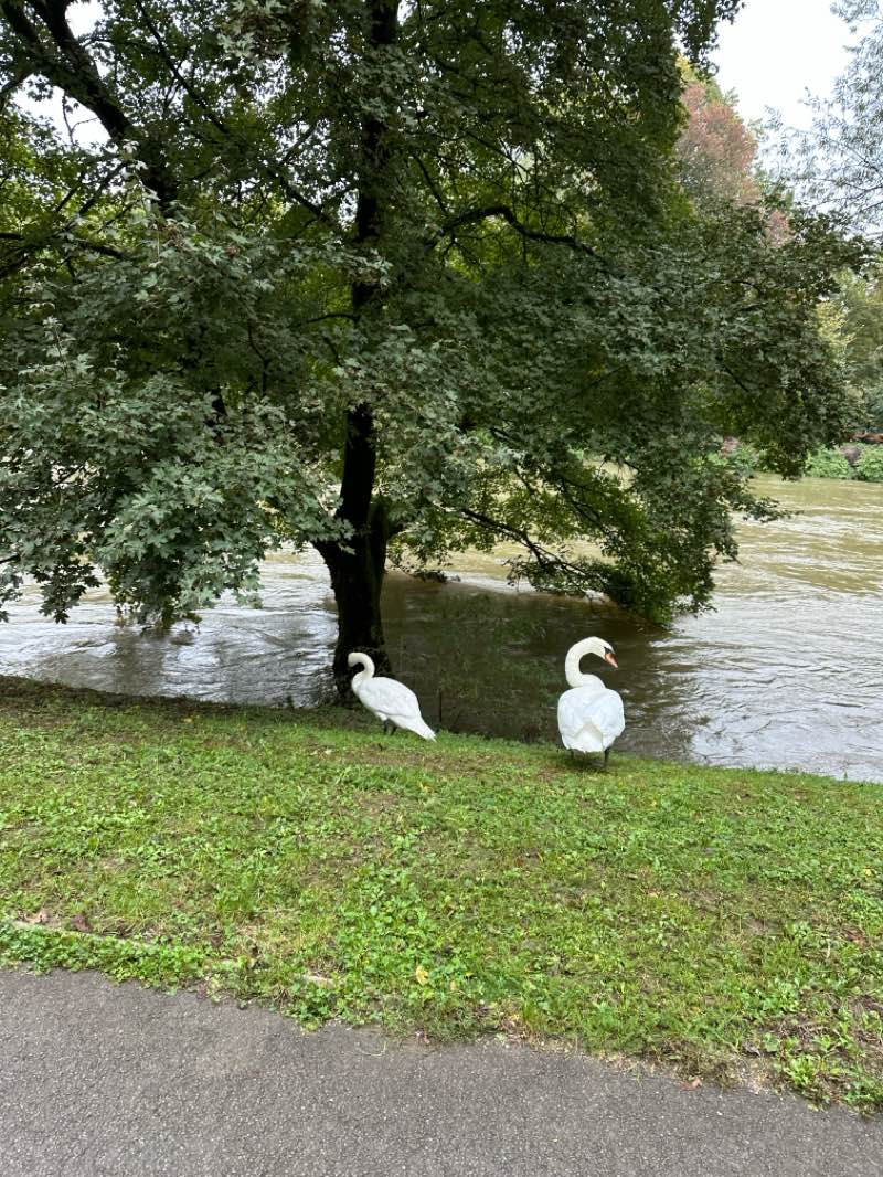 walking near me in Grajski park Fužine in winter