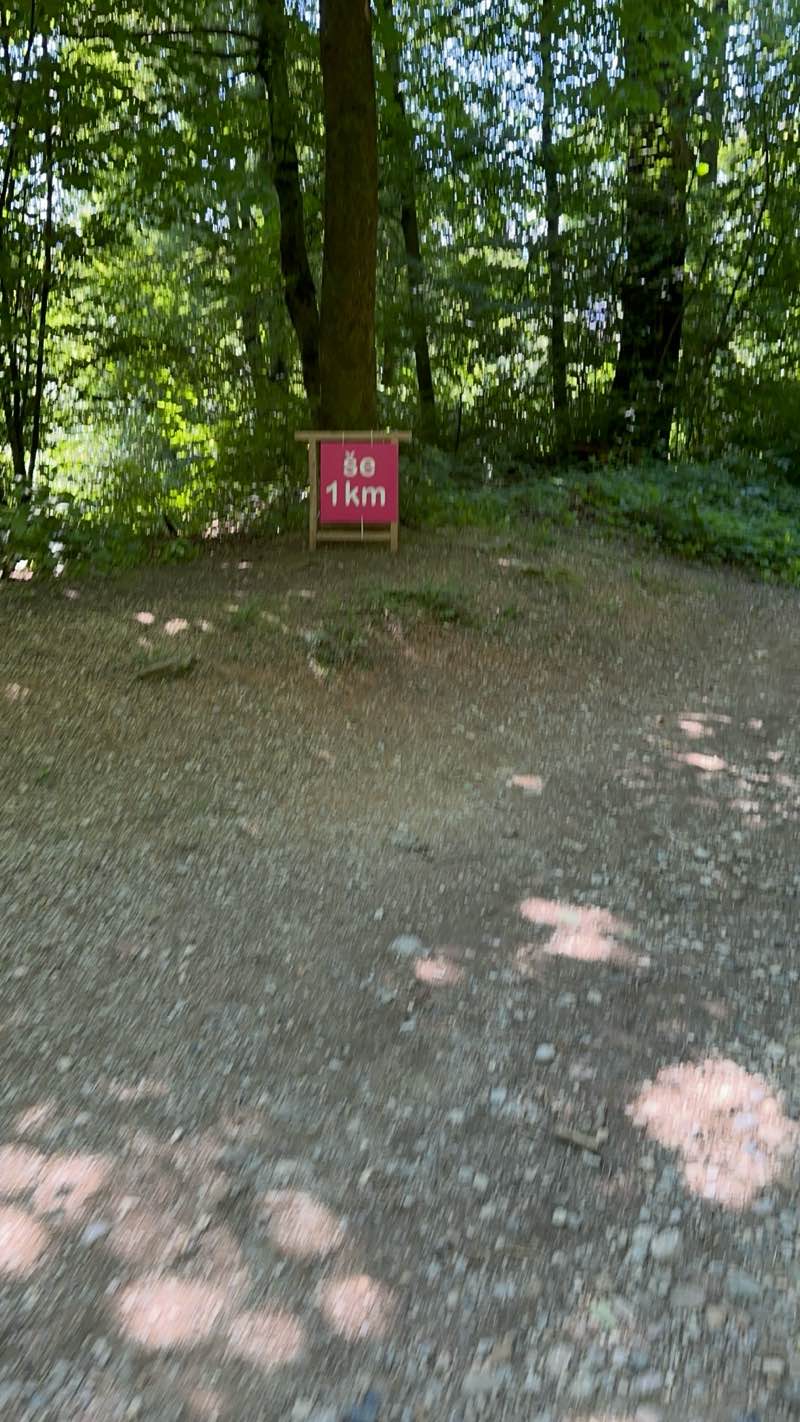 walking near me in Park Gustava Tönniesa in spring