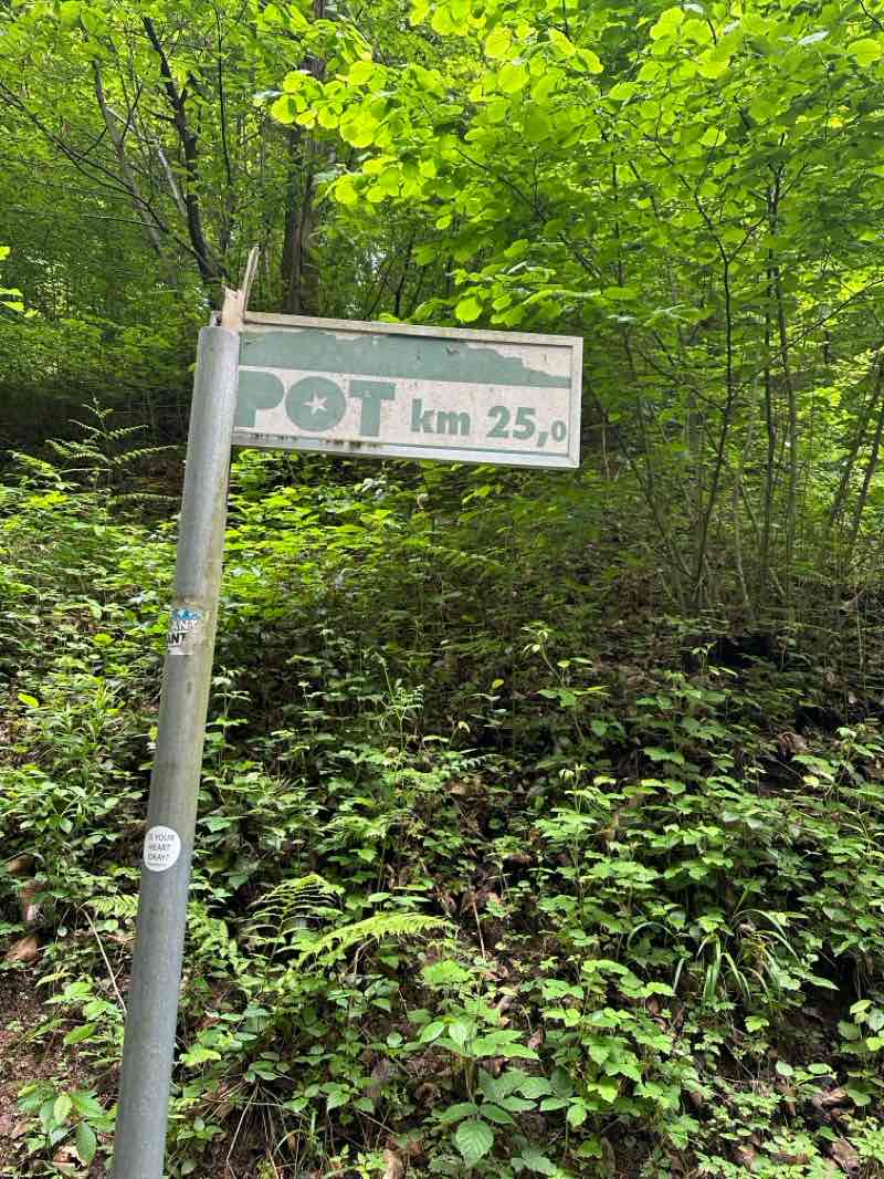 walking near me in Park Angele Piskernik in spring