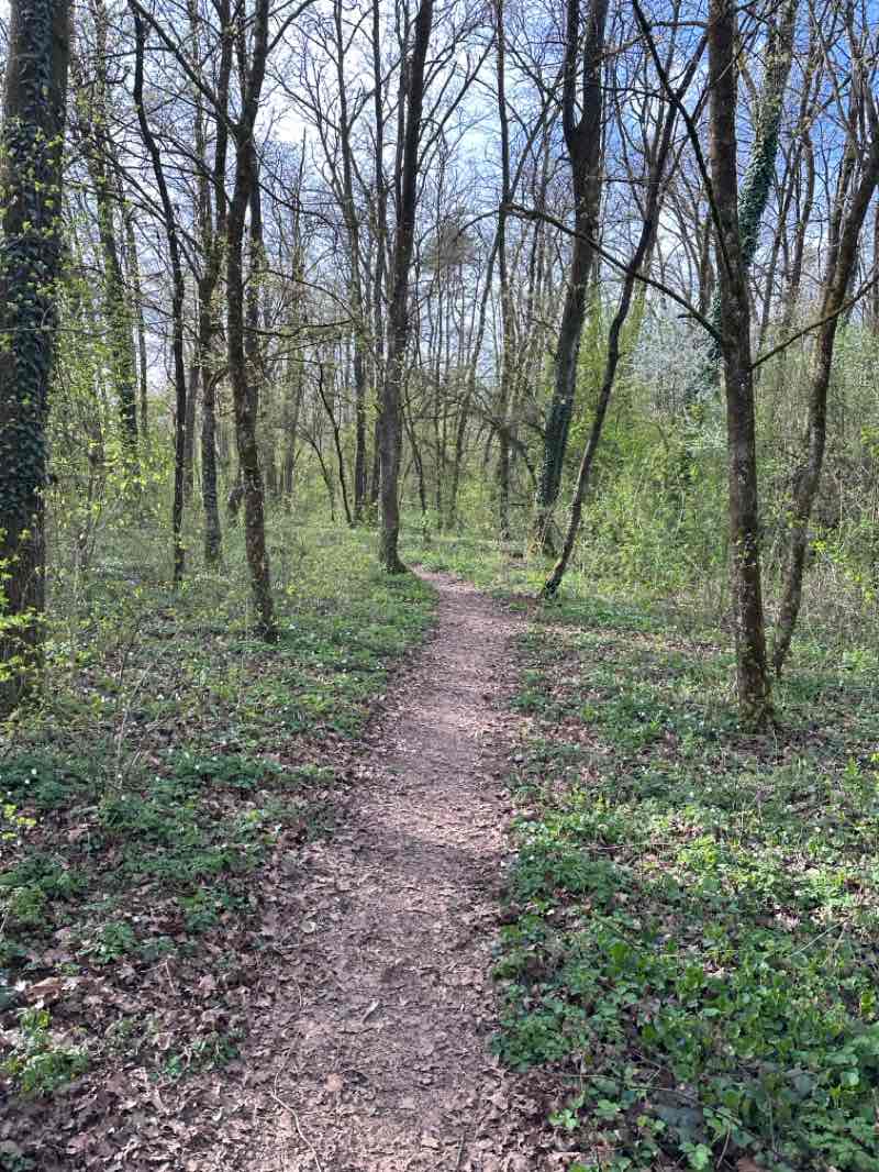 walking near me in Krajinski park Zajčja dobrava in spring