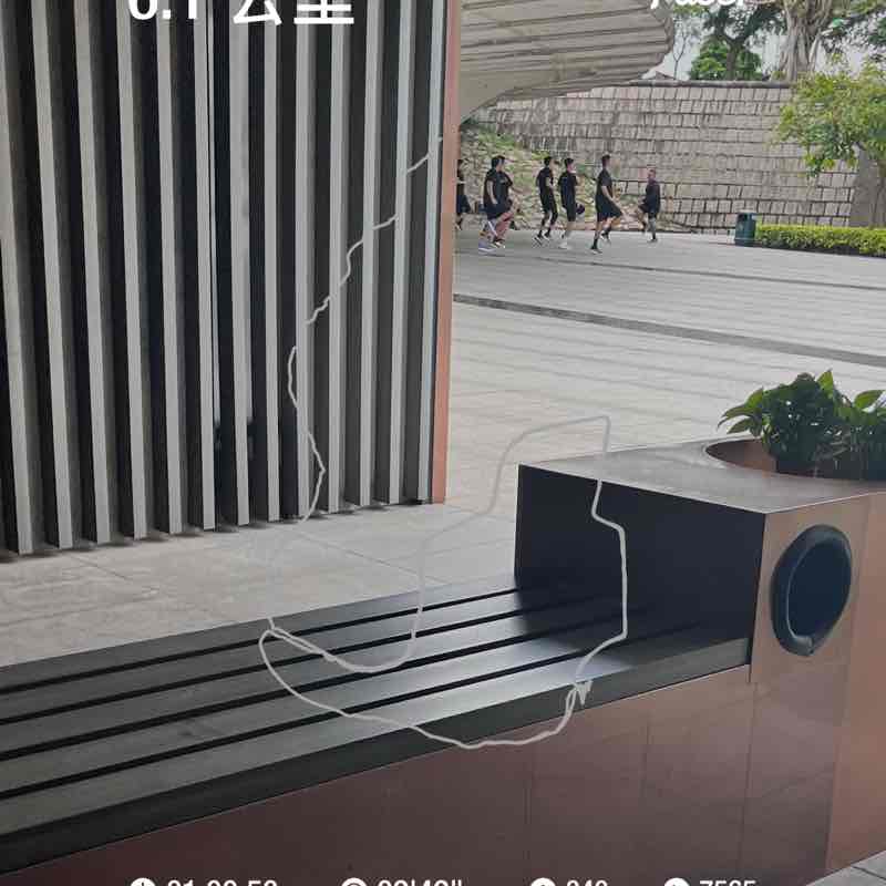 leng.vivienne post 1