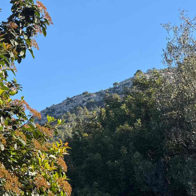 Romain “Flash” N post 2