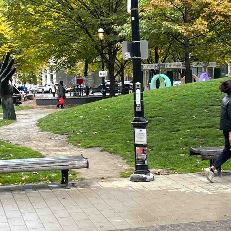 🍁 Whirl 🍁 post 1