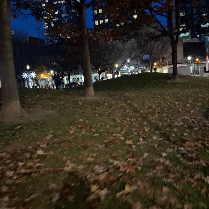 🍁 Whirl 🍁 post 3