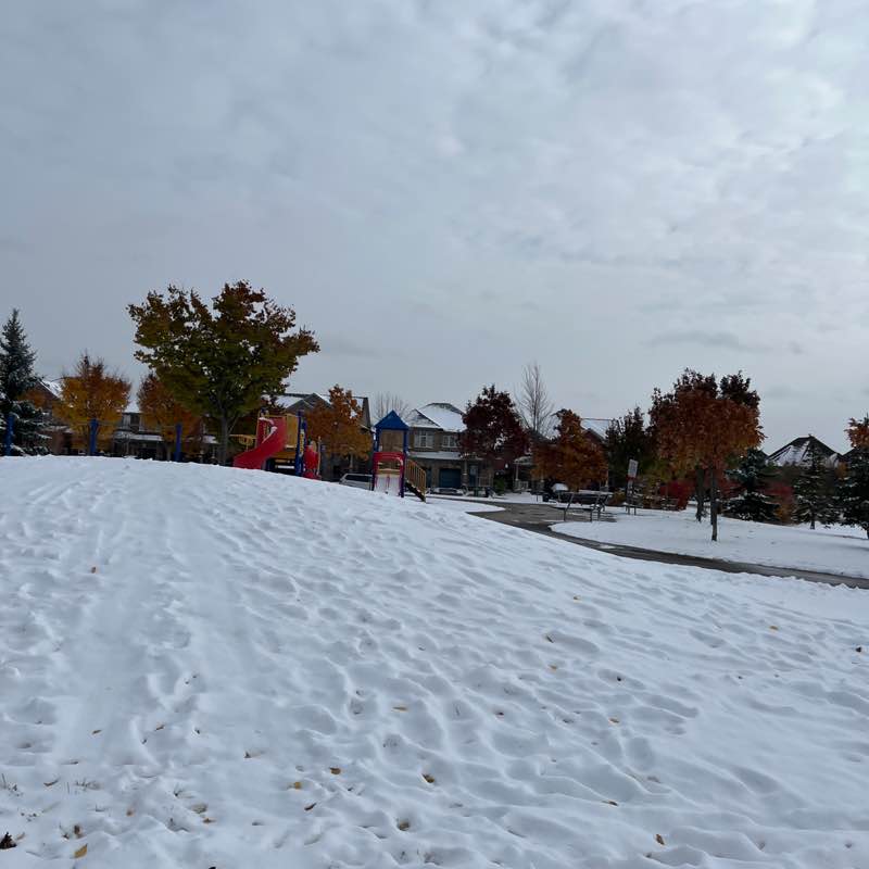 🍁 Whirl 🍁 post 1