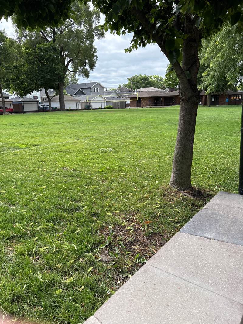 walking near me in Anderson Park in summer