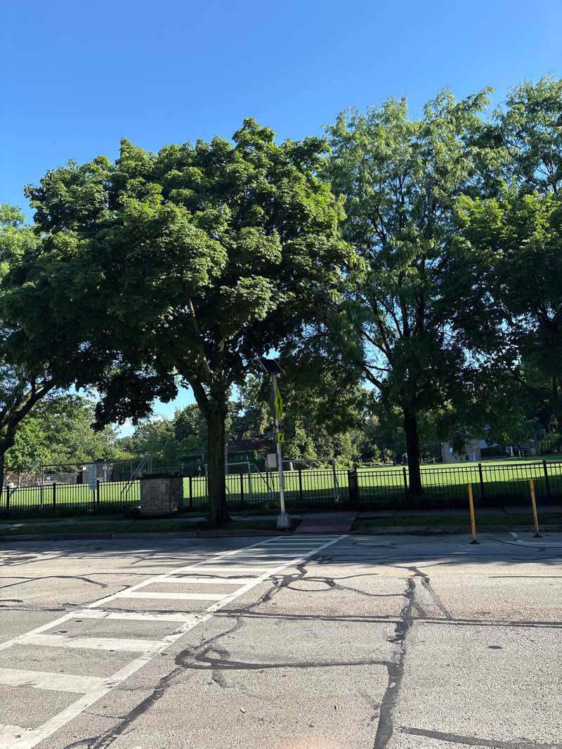walking near me in Washington Commons Park in summer