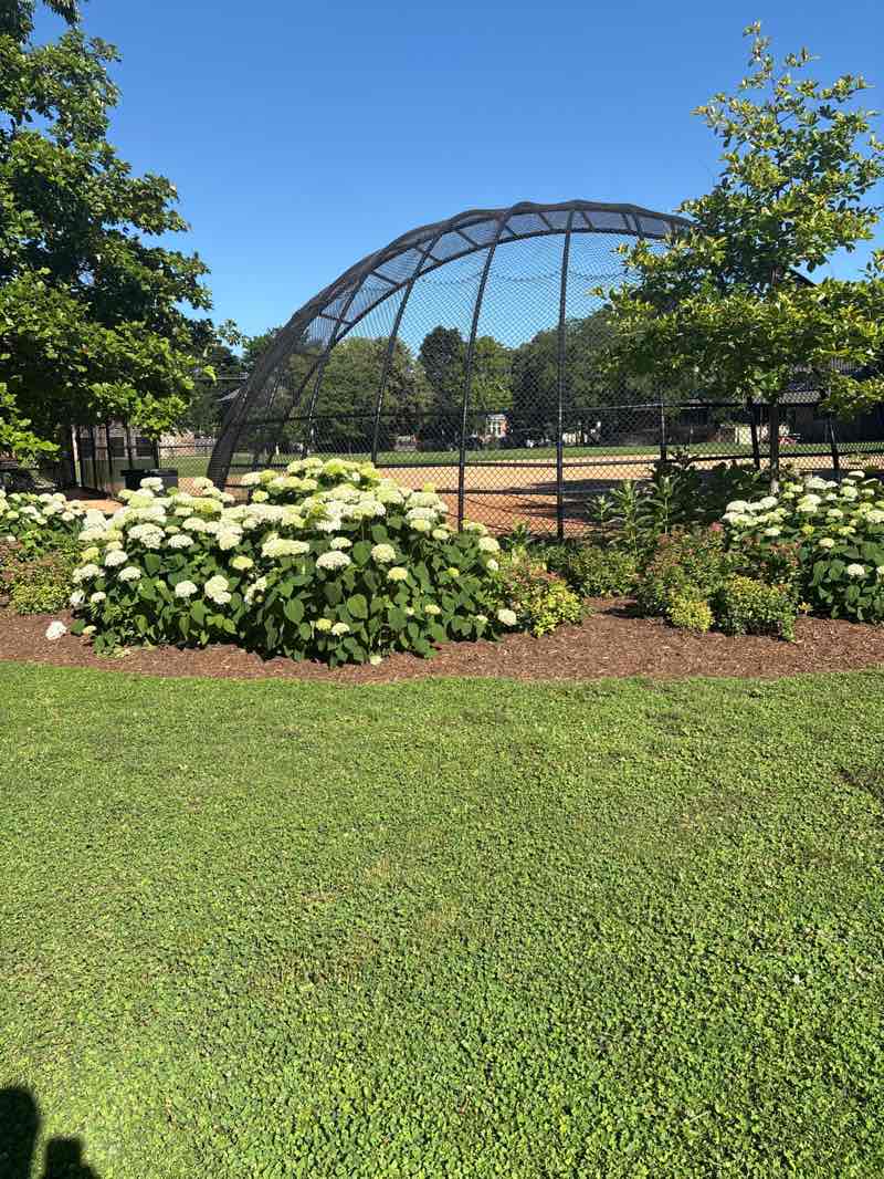 walking near me in Fox Park in summer