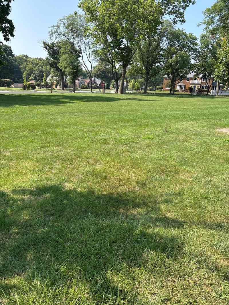 walking near me in Washington Triangle Park in summer