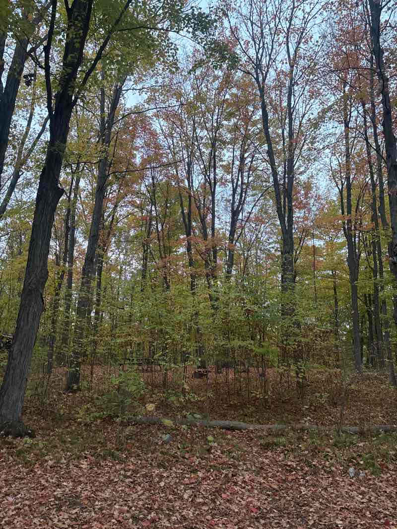 walking near me in Ferris Provincial Park in autumn