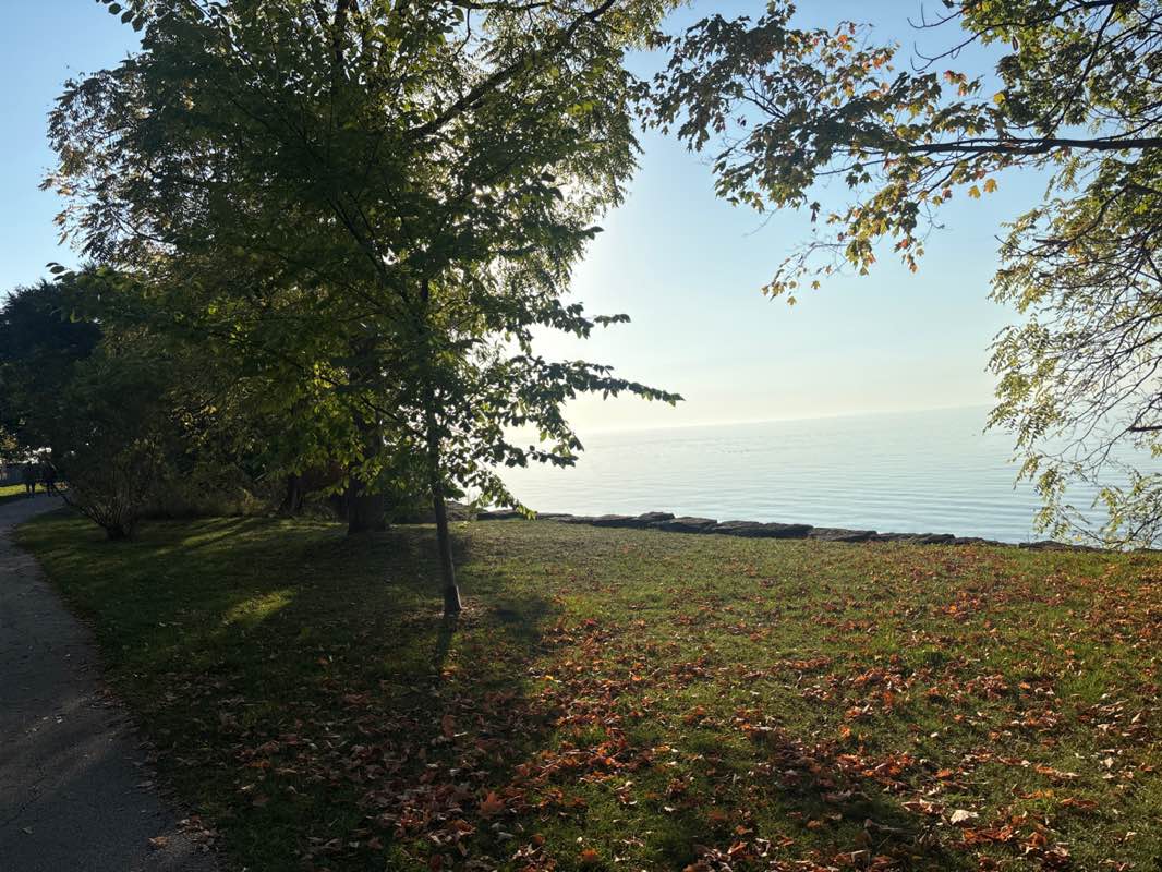 walking near me in South Shell Waterfront Park in autumn