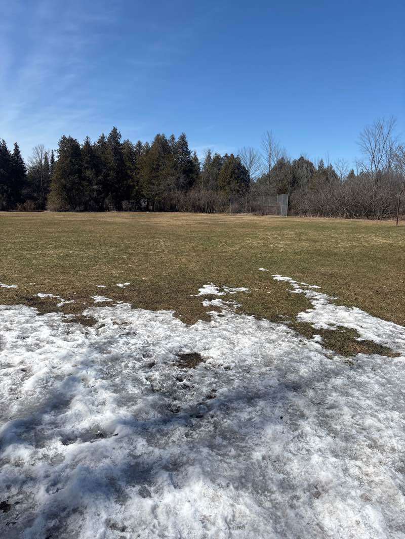 walking near me in Meadowvale Park in spring