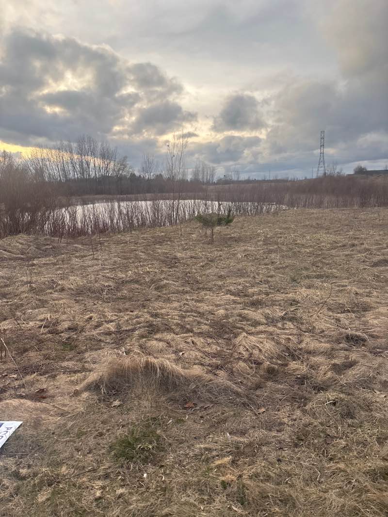 walking near me in RIM Park in spring