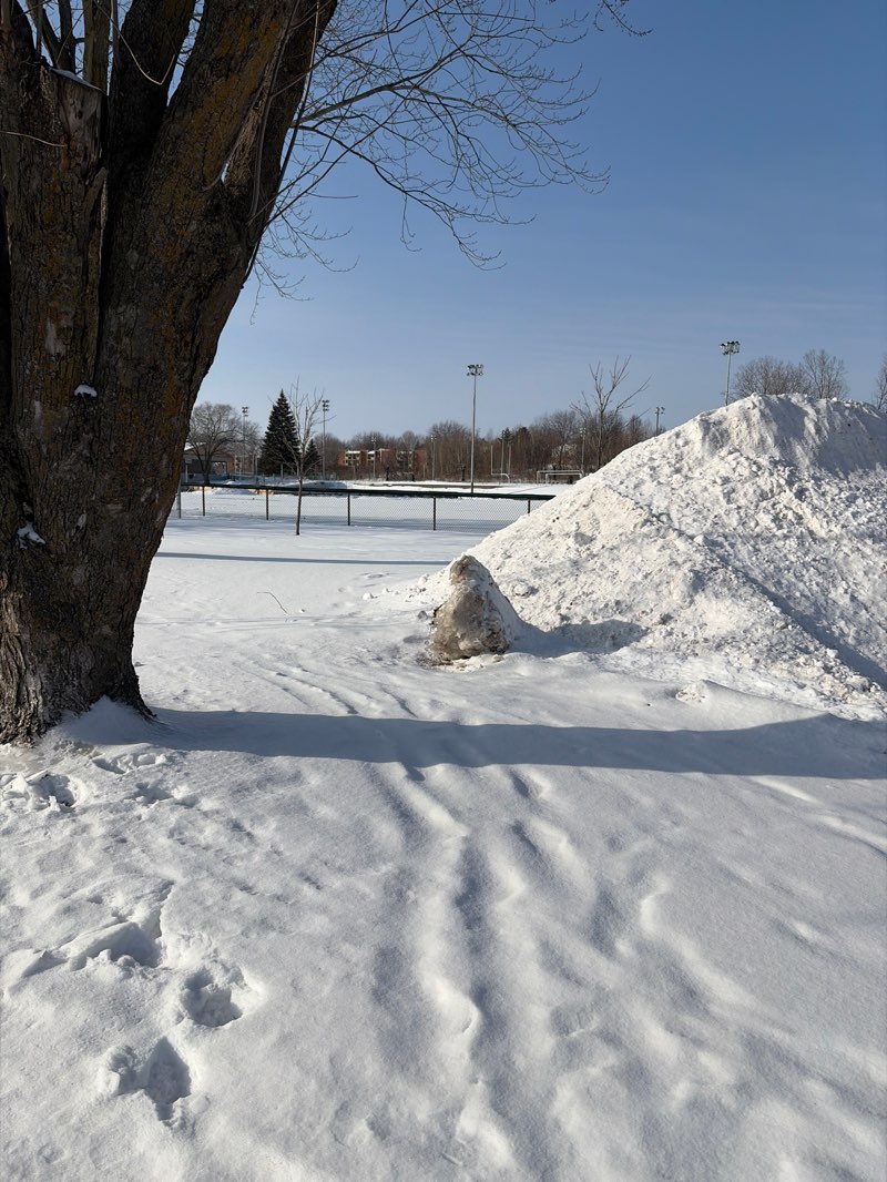 walking near me in Parc Ducharme in winter