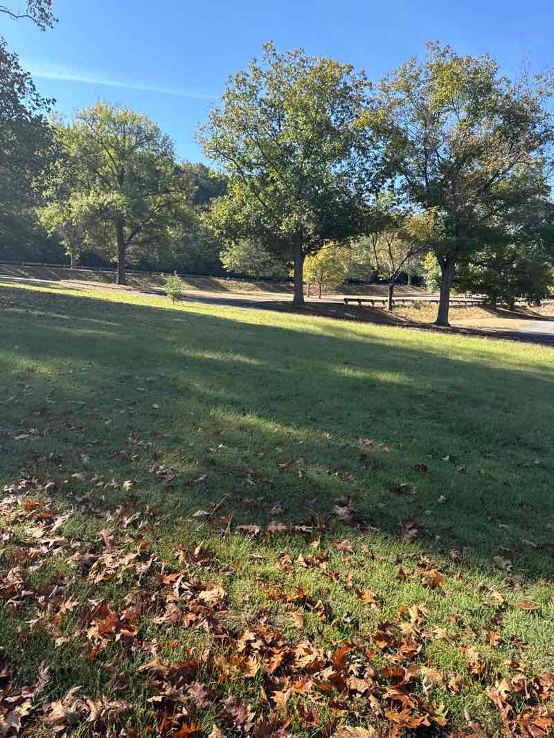 walking near me in Little Buffalo State Park in autumn