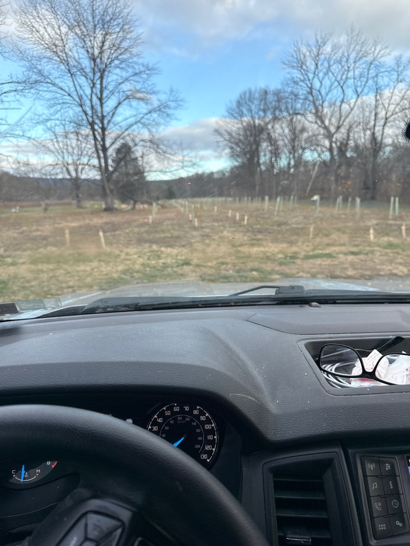 walking near me in Vincent DiFilippo Nature Preserve in winter