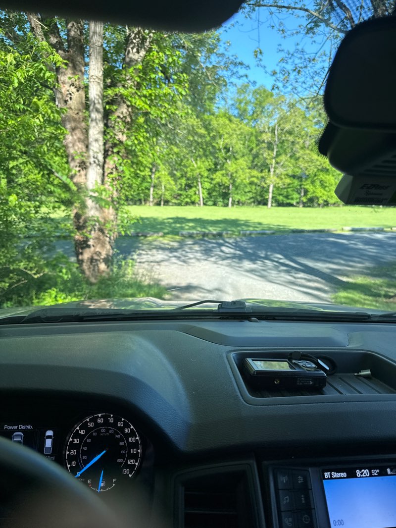 walking near me in Lions Park in summer