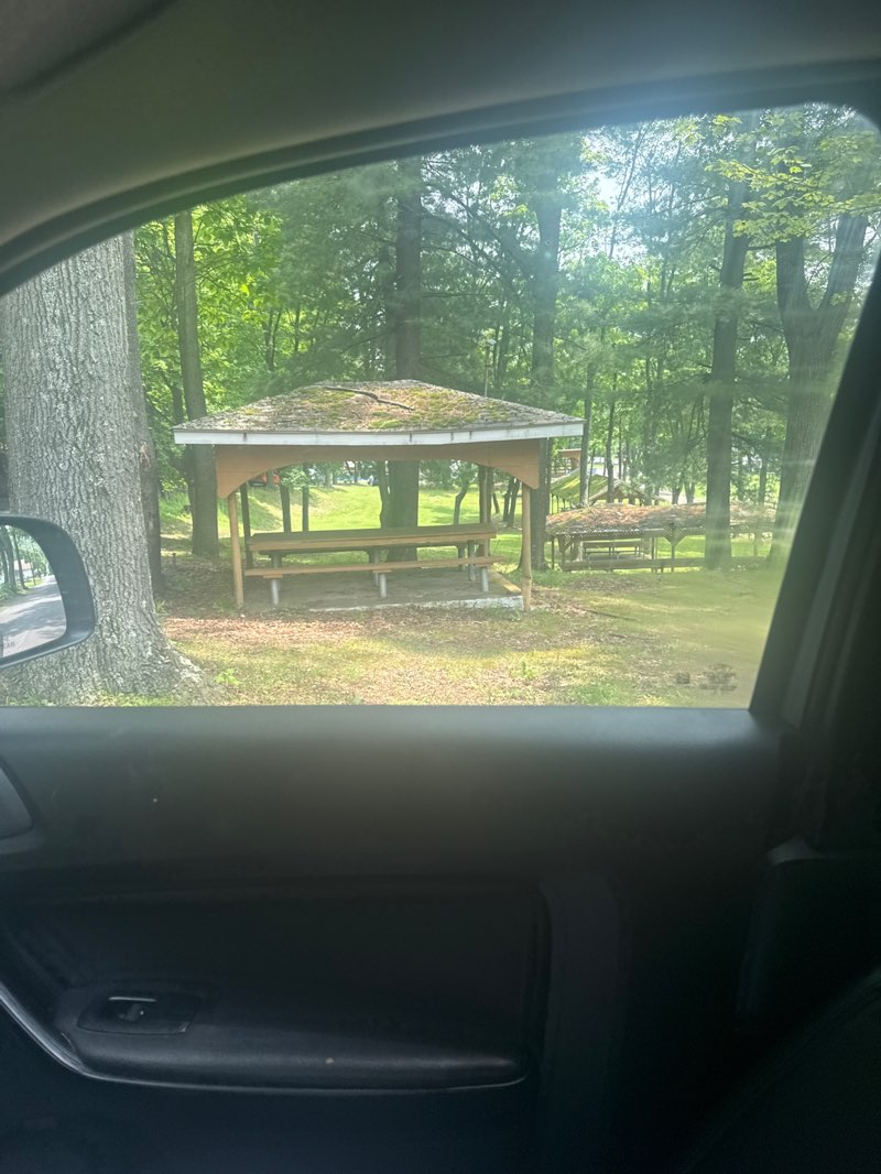 walking near me in Eureka Park in summer