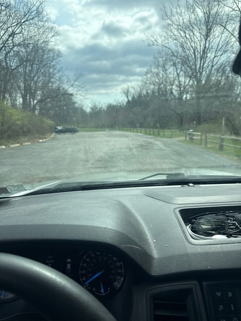 walking near me in Simpson Park in spring